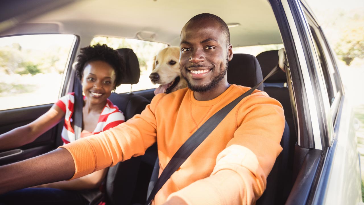 Couple going for a drive with their dog sitting in the back of the car