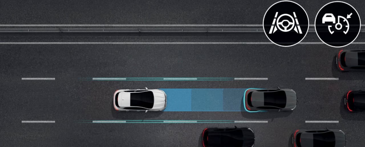 Advanced Driver Assistance Systems (ADAS)