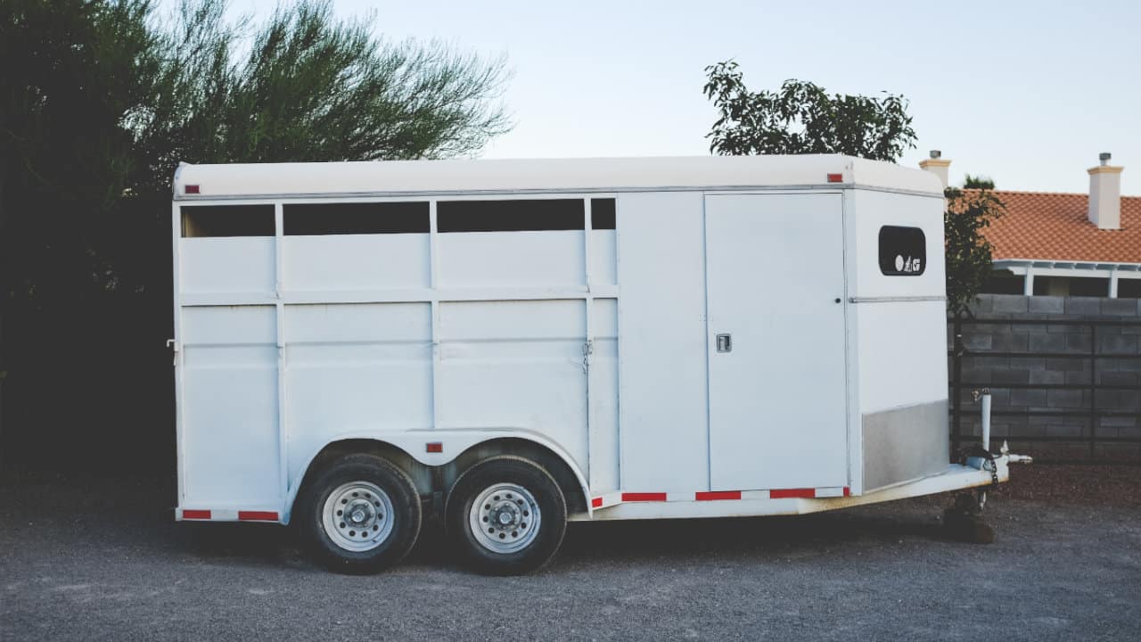 Horse Bowing - Towing