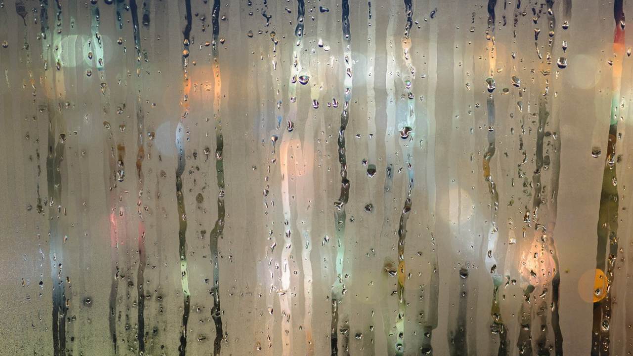 Foggy Window