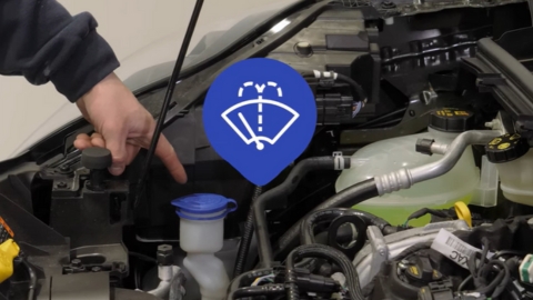 Washer fluid reservoir