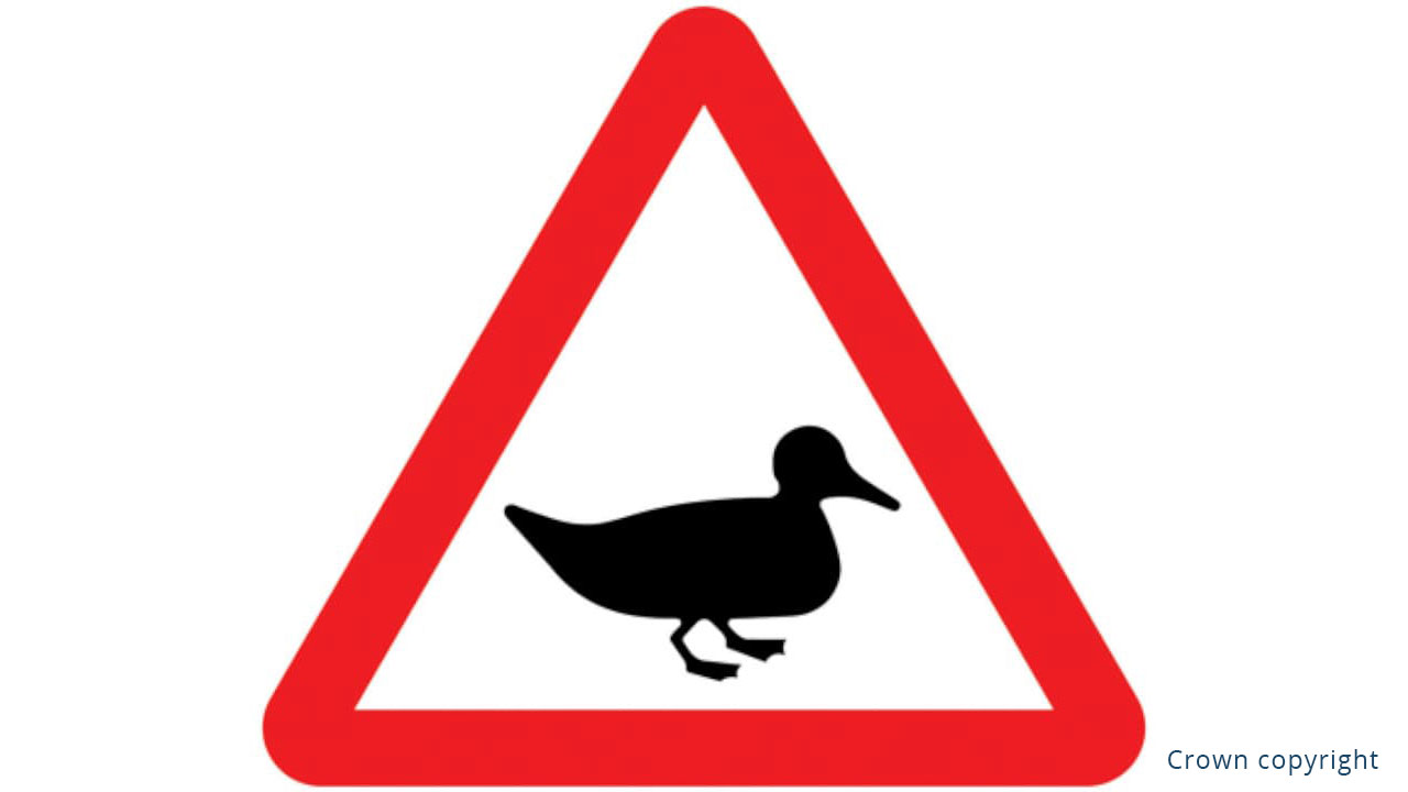 Wild Fowl Warning Sign