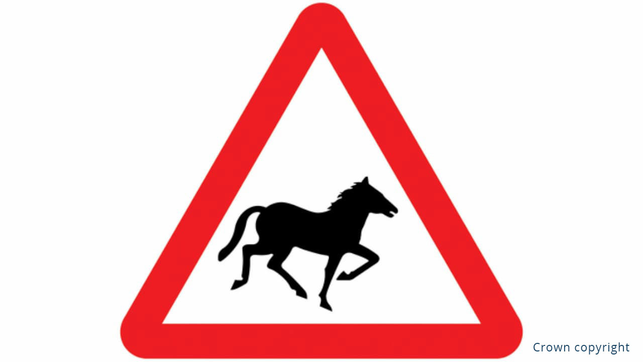 Wild Horses Warning Sign