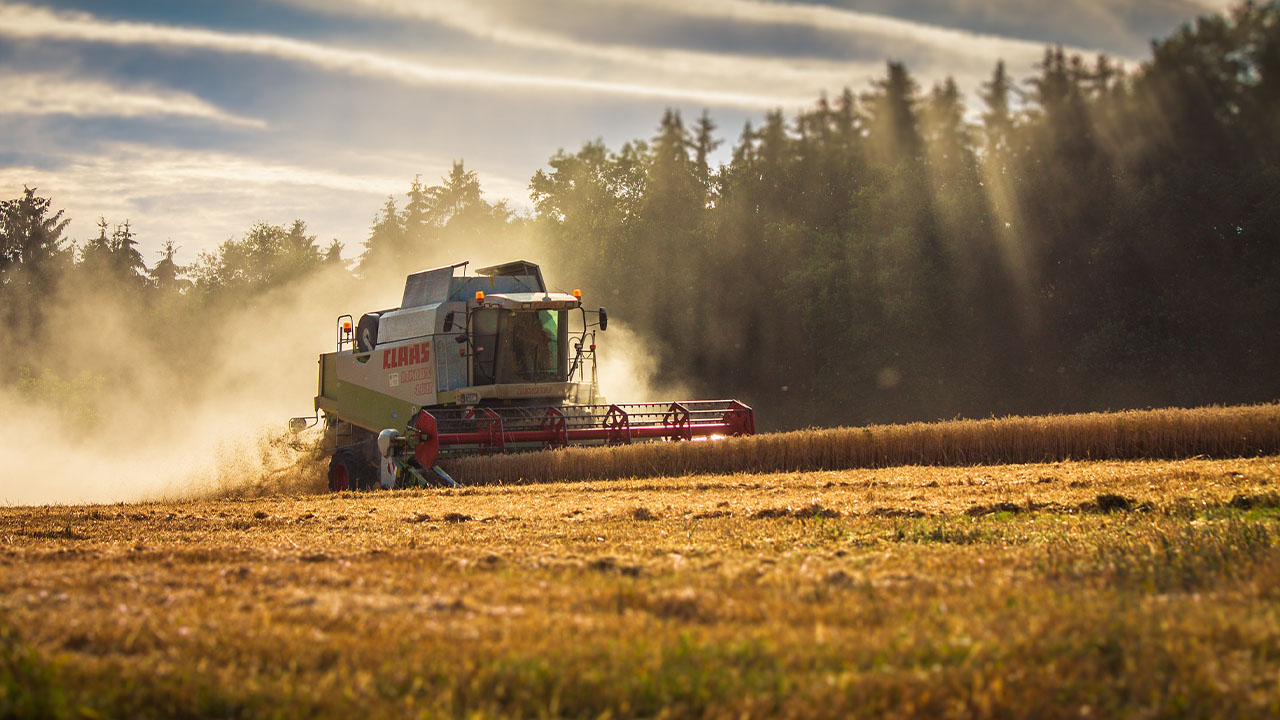 Combine Harvester in a field