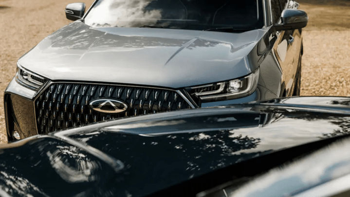 Grey and Black Chery Model Bonnets 