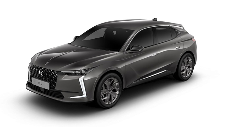Grey DS 4 Pallas Trim