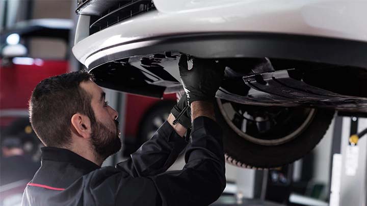 technician performing visual health check