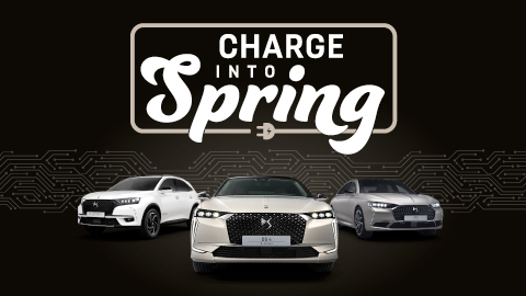 DS Charge Into Spring