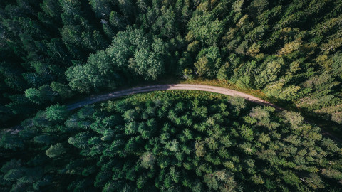 Forest Road Aerial