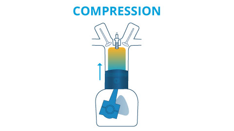 Compression