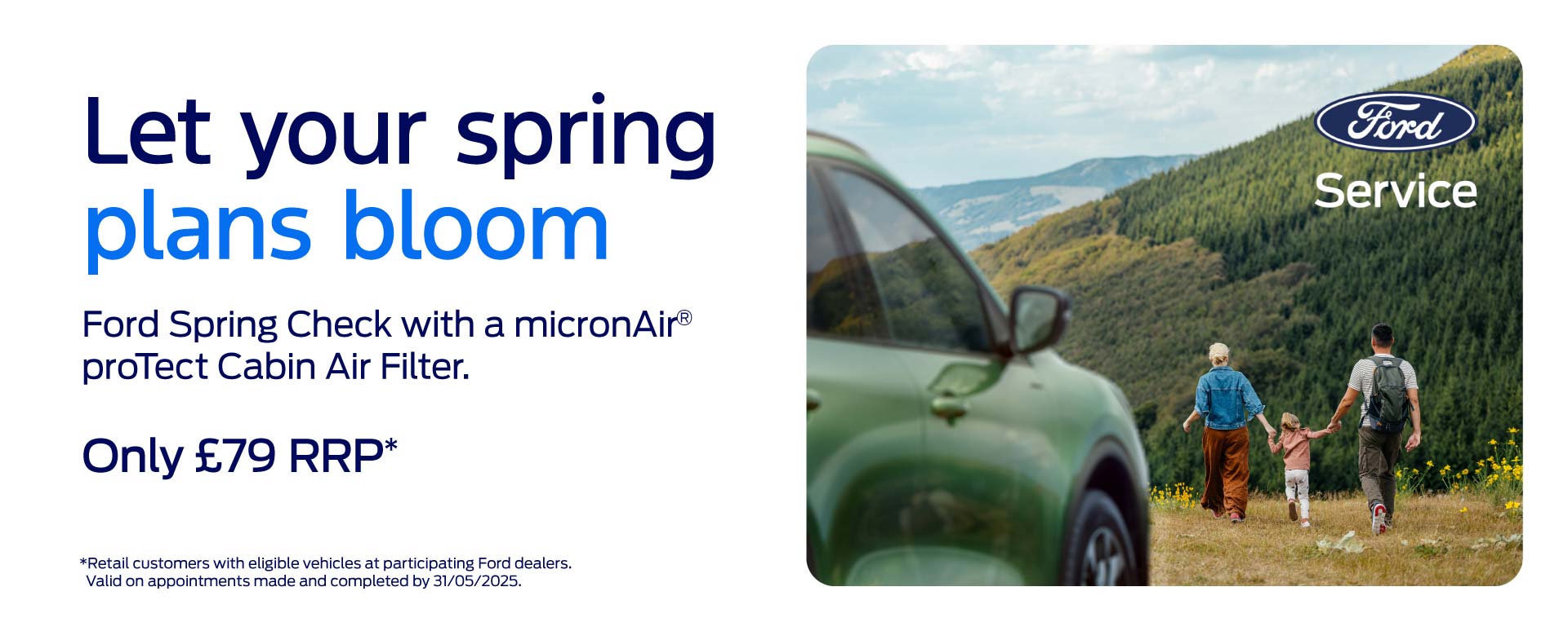 Ford spring servicing promotion