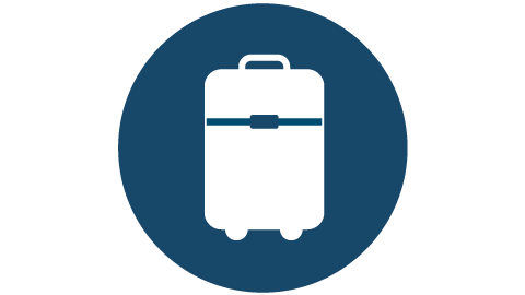 Luggage Icon