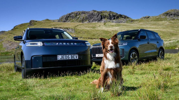 JAECOO 5 Models Parked Off Road With Dog Sitting On Grass