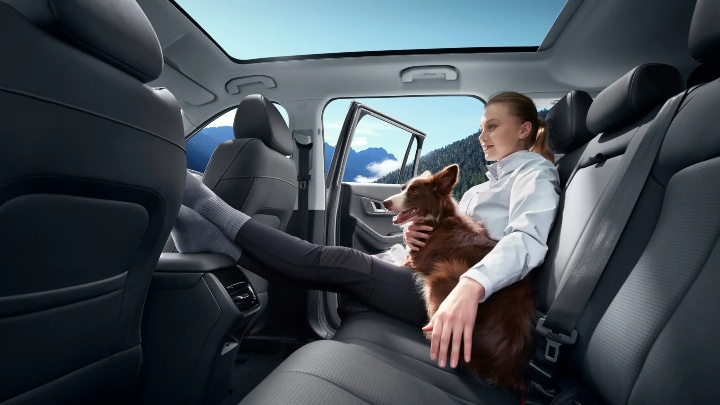 Human and Dog Sitting In The Rear of a JAECOO E5