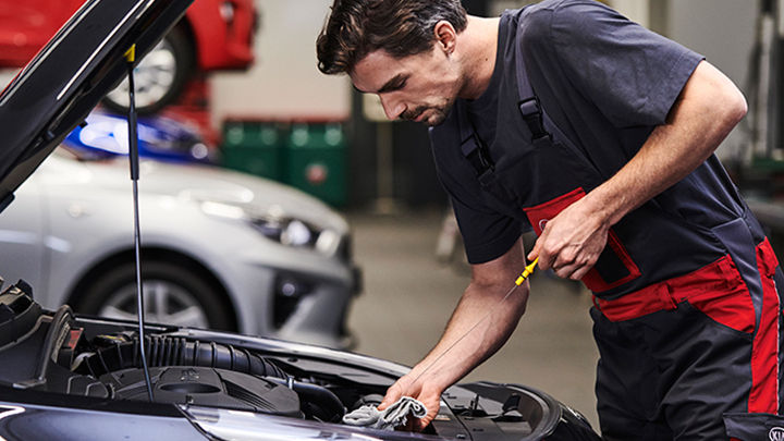 Kia Servicing Customer