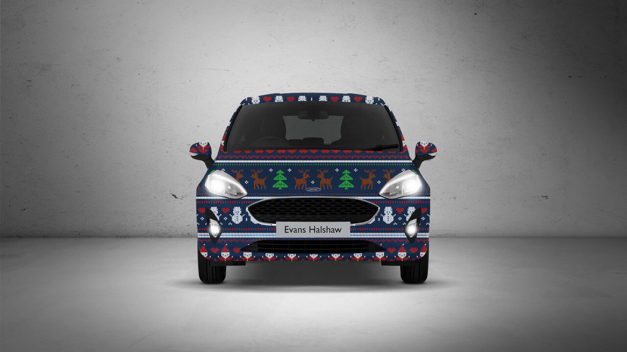 Christmas Jumper on Car