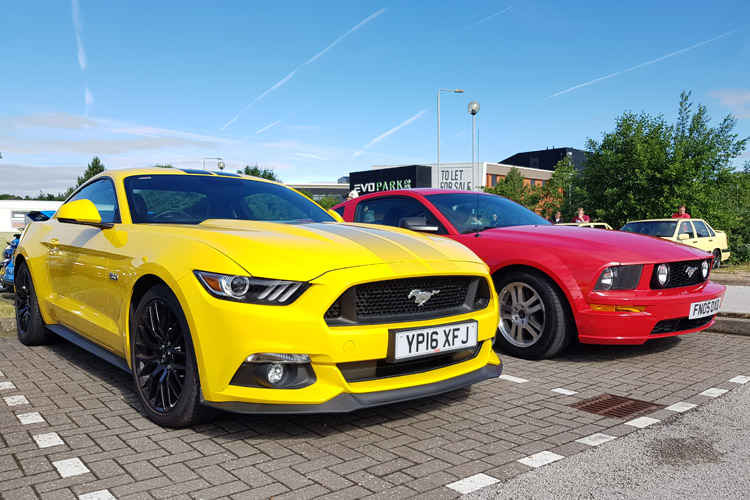 Mustang line up