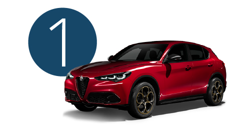 Red Romeo in Studio with Step 1 Background