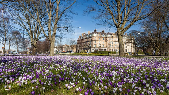 Harrogate, North Yorkshire