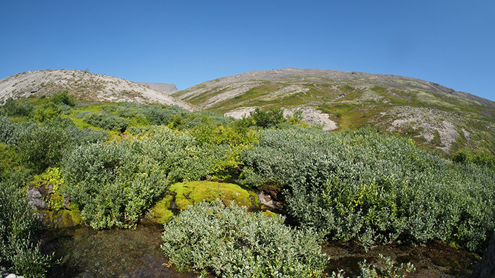 Treforest Rhondda, Cynon Taf