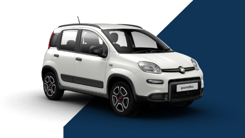 White Fiat Panda