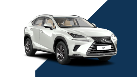 White Lexus NX