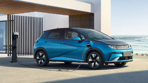 BYD Dolphin Charging